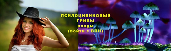 бошки Абдулино