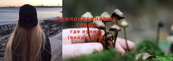 бошки Абдулино