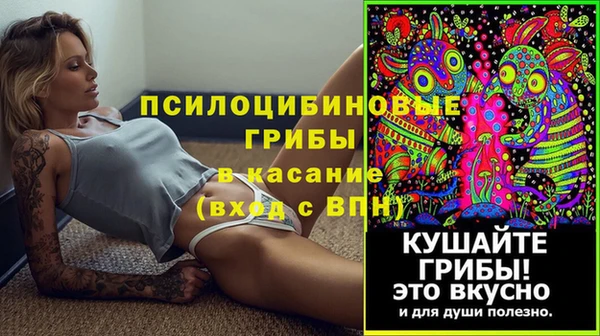ECSTASY Алексин